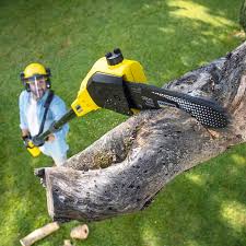 Best Lawn Watering Services  in Perry, LA